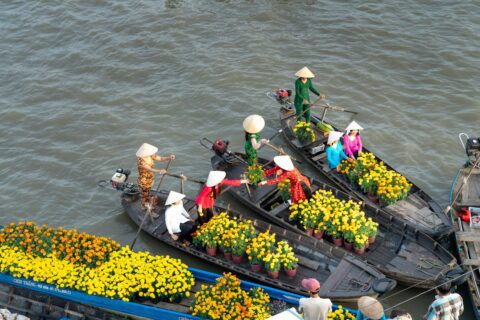 Navigating Climate Challenges in the Mekong Delta: A Path Towards Sustainability