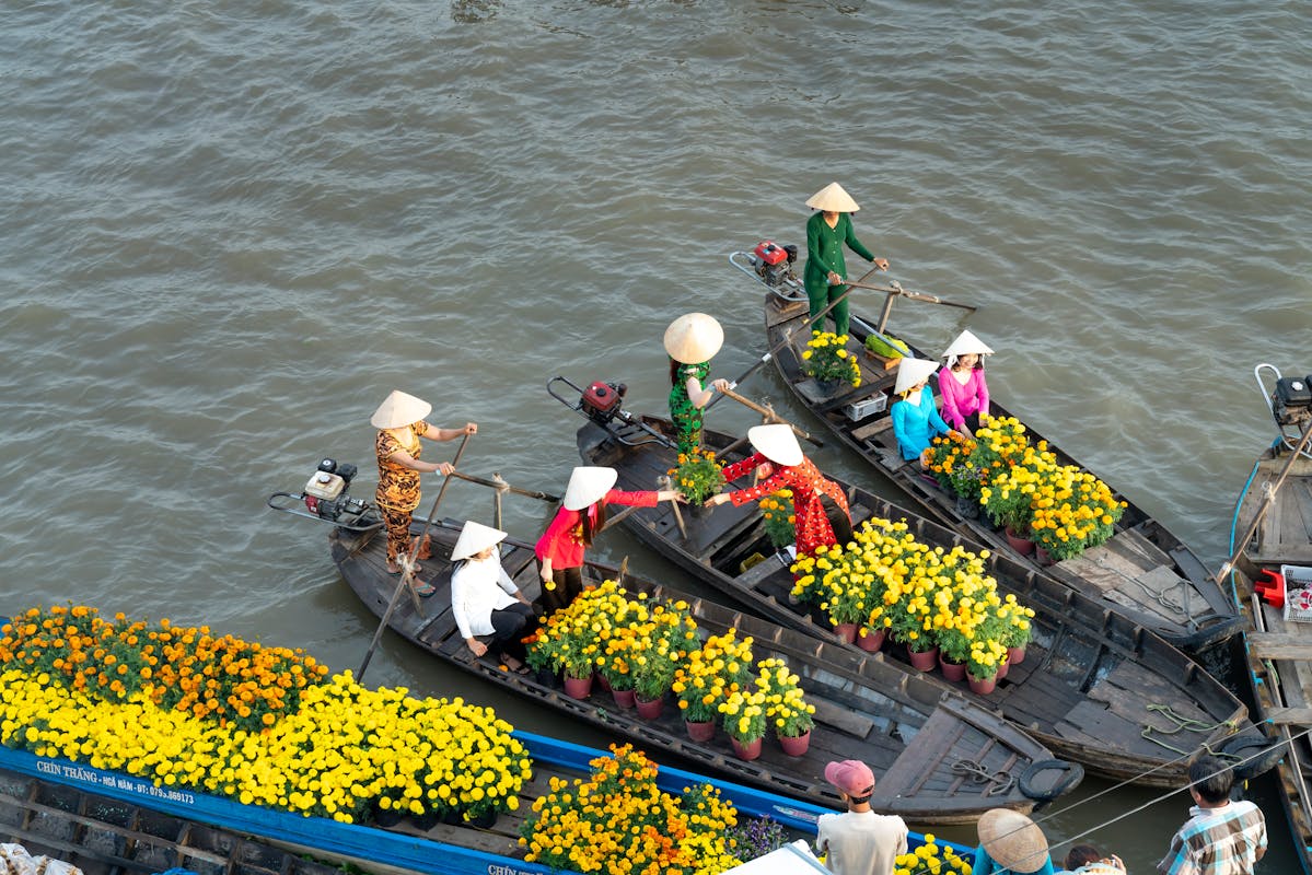 Navigating Climate Challenges in the Mekong Delta: A Path Towards Sustainability